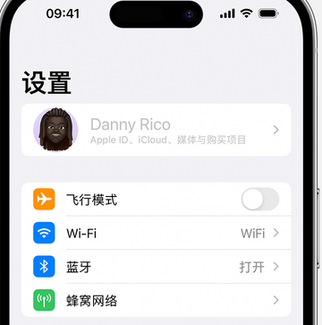 宋洛乡appleID维修服务iPhone设置中Apple ID显示为灰色无法使用 