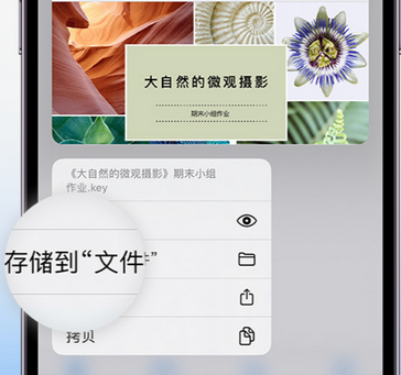 宋洛乡apple维修中心分享iPhone文件应用中存储和找到下载文件