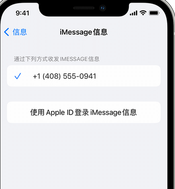 宋洛乡apple维修iPhone上无法正常发送iMessage信息 