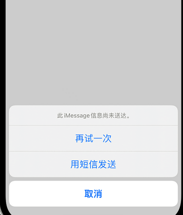 宋洛乡apple维修iPhone上无法正常发送iMessage信息