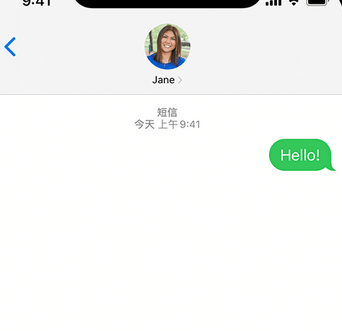 宋洛乡apple维修iPhone上无法正常发送iMessage信息