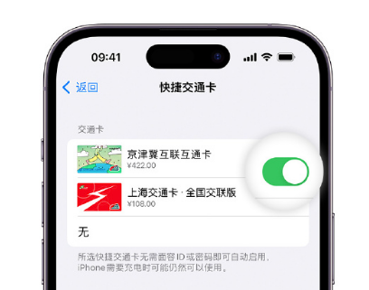 宋洛乡apple维修点分享iPhone上更换Apple Pay快捷交通卡手绘卡面 