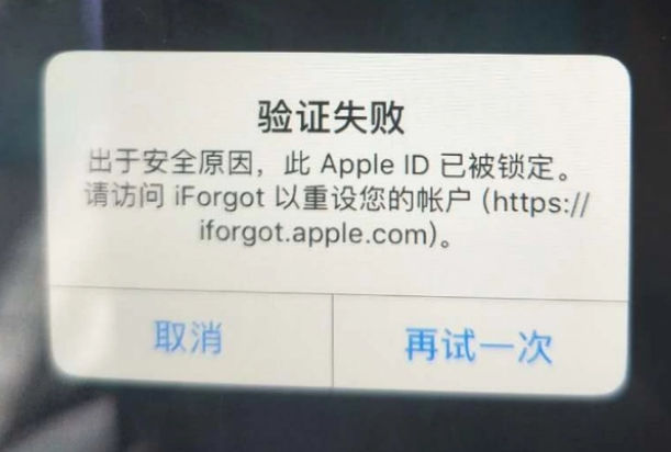 宋洛乡iPhone维修分享iPhone上正常登录或使用AppleID怎么办 