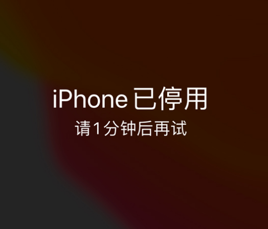 宋洛乡苹果手机维修分享:iPhone 显示“不可用”或“已停用”怎么办？还能保留数据吗？ 