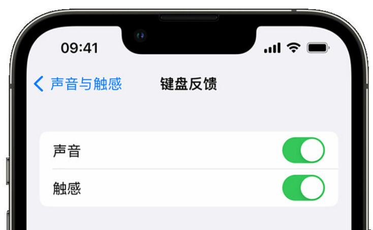 宋洛乡苹果手机维修分享iPhone 14触感键盘使用方法 