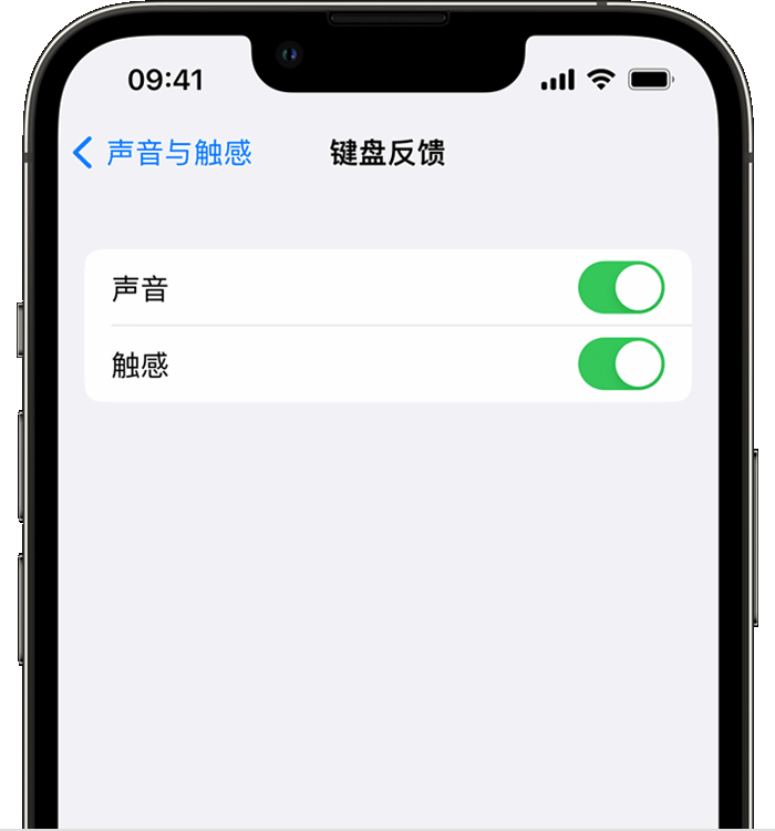 宋洛乡苹果14维修店分享如何在 iPhone 14 机型中使用触感键盘 