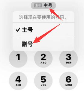 宋洛乡苹果14维修店分享iPhone 14 Pro Max使用副卡打电话的方法 