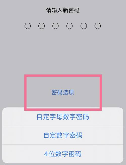 宋洛乡苹果14维修分享iPhone 14plus设置密码的方法 