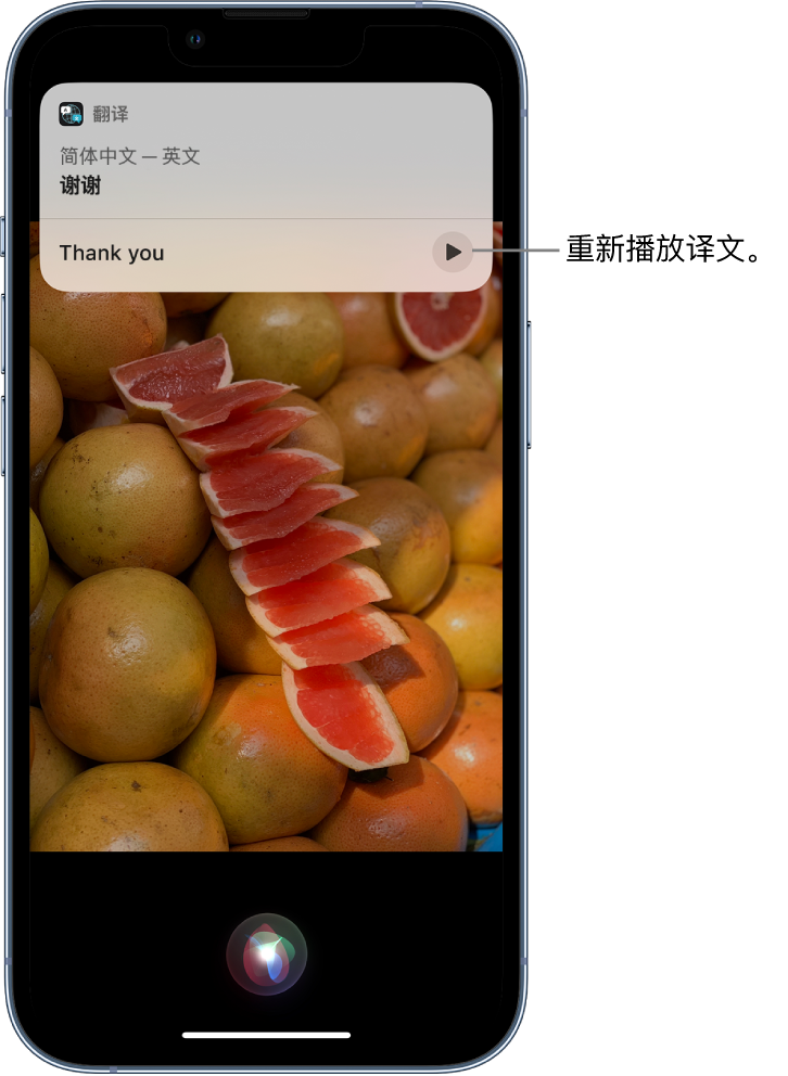 宋洛乡苹果14维修分享 iPhone 14 机型中使用 Siri：了解 Siri 能帮你做什么 