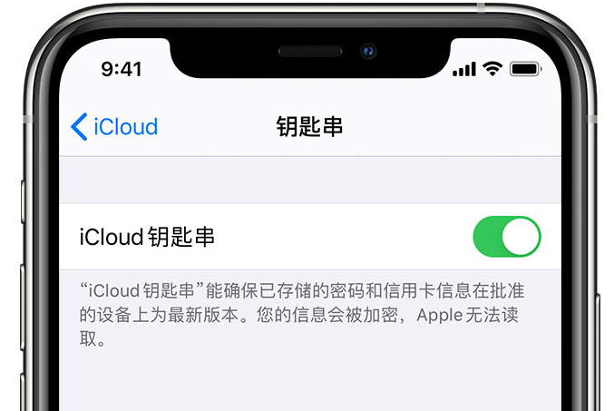 宋洛乡苹果手机维修分享在 iPhone 上开启 iCloud 钥匙串之后会储存哪些信息 