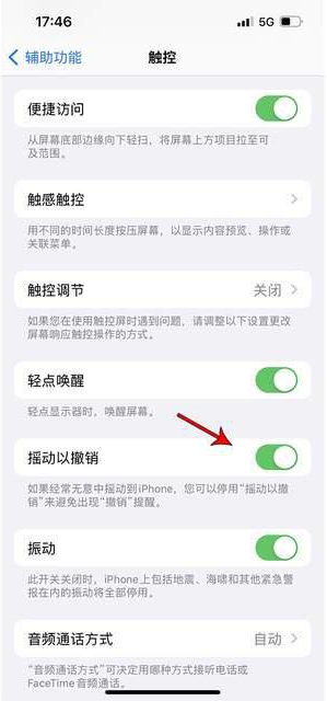 宋洛乡苹果手机维修分享iPhone手机如何设置摇一摇删除文字 